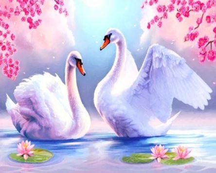 Картина с рисуване по номера лебеди  5 - Goblena.COM