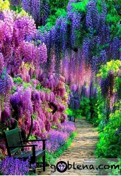 Диамантен гоблен Люлякова градина - Goblena.COM