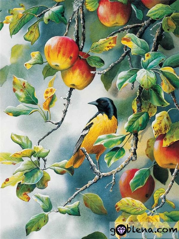 Картина за рисуване по номера Птичка в ябълковото дърво - Goblena.COM