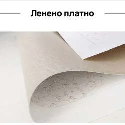 Картина за рисуване по номера Бял жребец