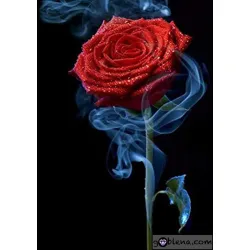 Диамантен гоблен Червена роза