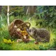 Диамантен гоблен Таралежче 2 - Goblena.COM