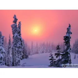 Диамантен гоблен Зимен пейзаж