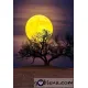 ЕКО Диамантен гоблен Лунен пейзаж 2 - Goblena.COM