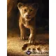 EKO Диамантен гоблен Симба - Goblena.COM