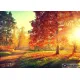 ЕКО Диамантен гоблен Цветовете на есента - Goblena.COM