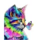 Картина с рисуване по номера Арт Коте 2 с подрамка и кутия - Goblena.COM