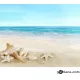 Картина с рисуване по номера Seafood - Goblena.COM