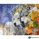 Картина с рисуване по номера Вълци - Goblena.COM