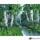 Картина за рисуване по номера Брези край реката - Goblena.COM