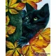 Картина за рисуване по номера Черно коте за късмет - Goblena.COM