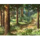 Картина за рисуване по номера Горски пейзаж 2 - Goblena.COM