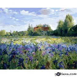 Картина за рисуване по номера Къщичка в полята