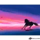 Картина за рисуване по номера Кон на цветен фон - Goblena.COM