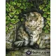 Картина за рисуване по номера Коте 2 - Goblena.COM