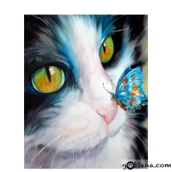 Картина за рисуване по номера Коте с пеперуда 2