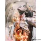 Картина за рисуване по номера Крепост - Goblena.COM