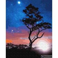 Картина за рисуване по номера Магията на The Night
