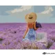 Картина за рисуване по номера Момиче в Лавандулата - Goblena.COM