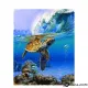 Картина за рисуване по номера Морска костенурка - Goblena.COM