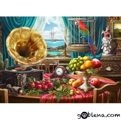 Картина за рисуване по номера Натюрморт с грамофон