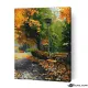 Картина за рисуване по номера Пейка в парка - Goblena.COM