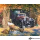Картина за рисуване по номера Следобедна дрямка - Goblena.COM