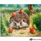Картина за рисуване по номера Таралеж - Goblena.COM