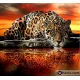 PREMIUM Диамантен гоблен + AB Гепард - Goblena.COM