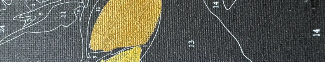 Black Canvas – рисуване по номера върху черно платно.