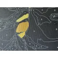 Black Canvas – рисуване по номера върху черно платно.