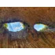 Диамантен гоблен Пещерата Проходна - Божиите Очи - Goblena.COM