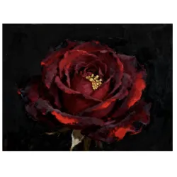 Картина по номера върху черно платно Мистична роза Black Canvas