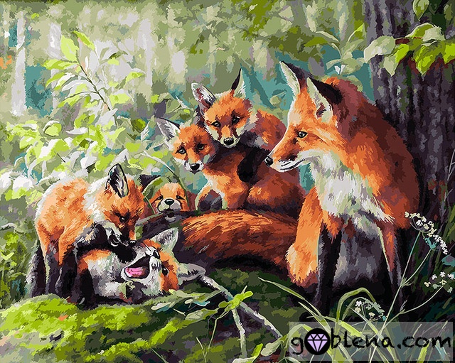 Картина за рисуване по номера Игриви Лисичета - Goblena.COM